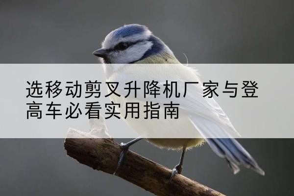 丹寨电动升降机厂家-选移动剪叉升降机厂家与登高车必看实用指南