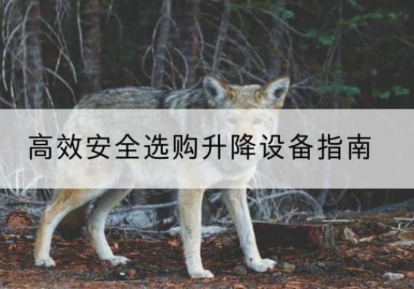 丹寨升降货梯厂家推荐-*安全选购升降设备指南
