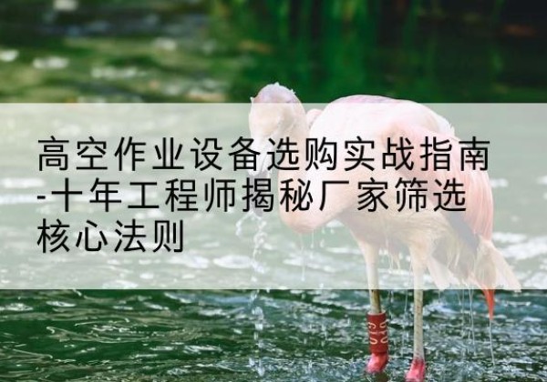丹寨剪叉式升降机厂家-高空作业设备选购实战指南-十年工程师揭秘厂家筛选核心法则